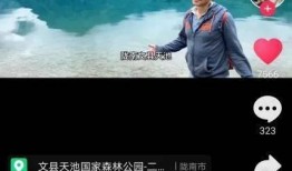 甘肃网友爆料点赞视频,揭秘神秘事件背后的真相